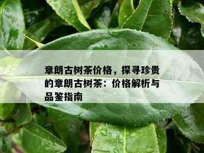 章朗古树茶价格，探寻珍贵的章朗古树茶：价格解析与品鉴指南