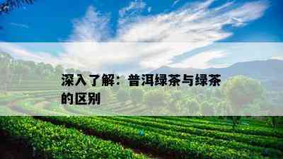 深入了解：普洱绿茶与绿茶的区别