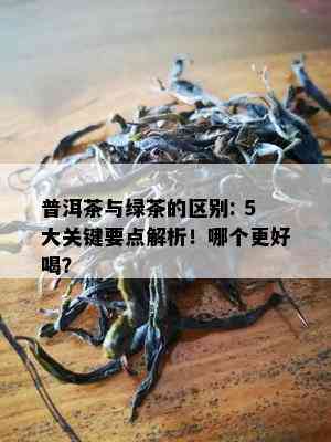 普洱茶与绿茶的区别: 5大关键要点解析！哪个更好喝？