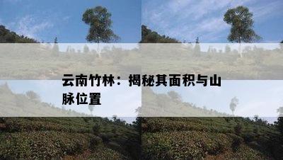 云南竹林：揭秘其面积与山脉位置