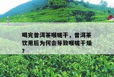 喝完普洱茶喉咙干，普洱茶饮用后为何会引起喉咙干燥？