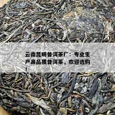 云南昆明普洱茶厂：专业生产高品质普洱茶，欢迎选购！