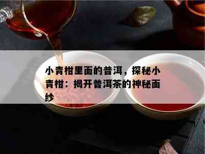 小青柑里面的普洱，探秘小青柑：揭开普洱茶的神秘面纱