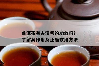 普洱茶有去湿气的功效吗？熟悉其作用及正确饮用方法