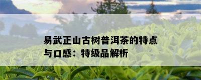 易武正山古树普洱茶的特点与口感：特级品解析