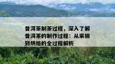 普洱茶制茶过程，深入熟悉普洱茶的制作过程：从采摘到烘焙的全过程解析