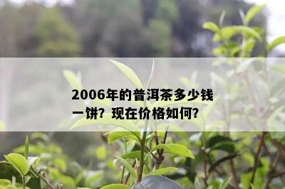 2006年的普洱茶多少钱一饼？现在价格怎样？