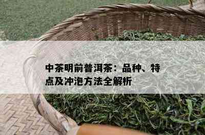 中茶明前普洱茶：品种、特点及冲泡方法全解析