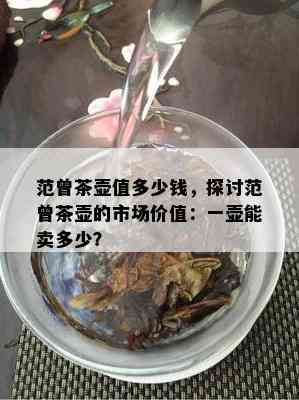 范曾茶壶值多少钱，探讨范曾茶壶的市场价值：一壶能卖多少？