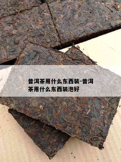 普洱茶用什么东西装-普洱茶用什么东西装泡好