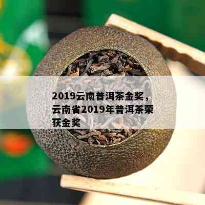 2019云南普洱茶金奖，云南省2019年普洱茶荣获金奖