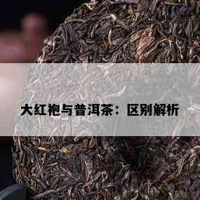 大红袍与普洱茶：区别解析