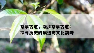 茶亭古道，漫步茶亭古道：探寻历史的痕迹与文化韵味