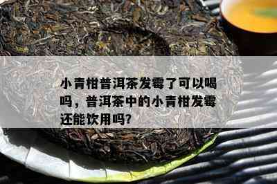 小青柑普洱茶发霉了可以喝吗，普洱茶中的小青柑发霉还能饮用吗？