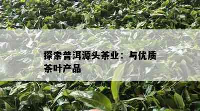 探索普洱源头茶业：与优质茶叶产品