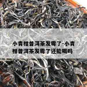 小青柑普洱茶发霉了-小青柑普洱茶发霉了还能喝吗