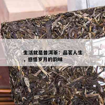 生活就是普洱茶：品茗人生，感悟岁月的韵味