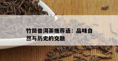 竹筒普洱茶推荐语：品味自然与历史的交融