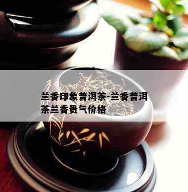 兰香印象普洱茶-兰香普洱茶兰香贵气价格