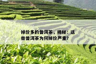 掉价多的普洱茶，揭秘：这些普洱茶为何掉价严重？