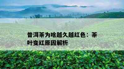 普洱茶为啥越久越红色：茶叶变红原因解析