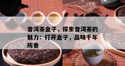 普洱茶盒子，探索普洱茶的魅力：打开盒子，品味千年陈香