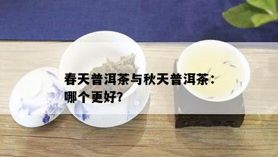 春天普洱茶与秋天普洱茶：哪个更好？