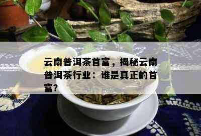 云南普洱茶首富，揭秘云南普洱茶行业：谁是真正的首富？