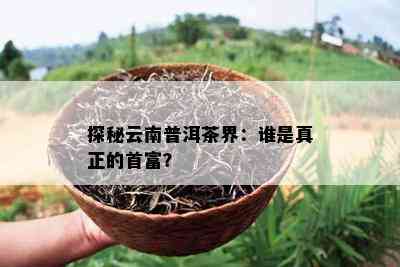 探秘云南普洱茶界：谁是真正的首富？