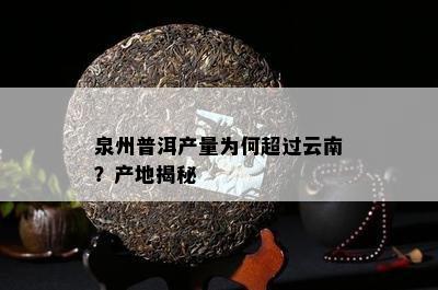 泉州普洱产量为何超过云南？产地揭秘