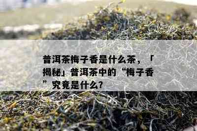 普洱茶梅子香是什么茶，「揭秘」普洱茶中的“梅子香”究竟是什么？