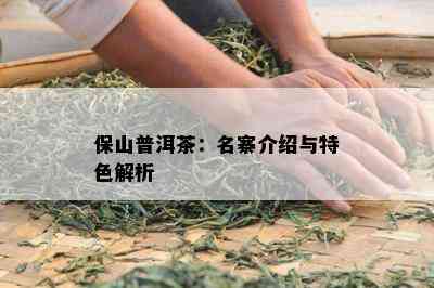 保山普洱茶：名寨介绍与特色解析