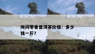 询问枣香普洱茶价格：多少钱一斤？