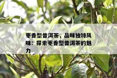 枣香型普洱茶，品味特别风味：探索枣香型普洱茶的魅力