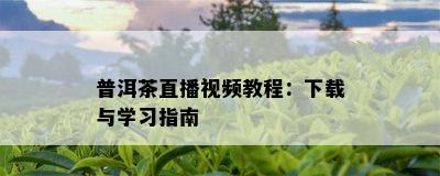 普洱茶直播视频教程：下载与学习指南