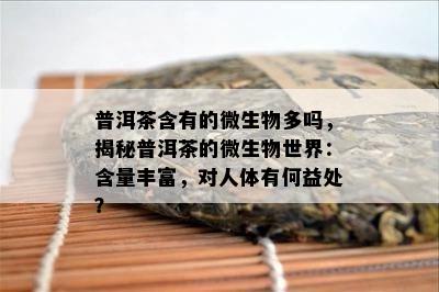 普洱茶含有的微生物多吗，揭秘普洱茶的微生物世界：含量丰富，对人体有何益处？