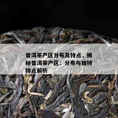 普洱茶产区分布及特点，揭秘普洱茶产区：分布与特别特点解析