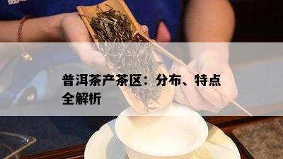 普洱茶产茶区：分布、特点全解析