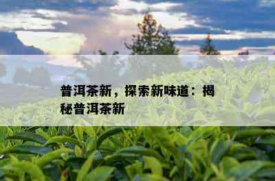 普洱茶新，探索新味道：揭秘普洱茶新