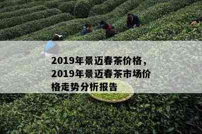 2019年景迈春茶价格，2019年景迈春茶市场价格走势分析报告