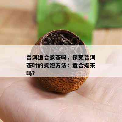 普洱适合煮茶吗，探究普洱茶叶的煮泡方法：适合煮茶吗？