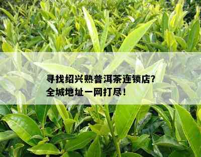 寻找绍兴熟普洱茶连锁店？全城地址一网打尽！