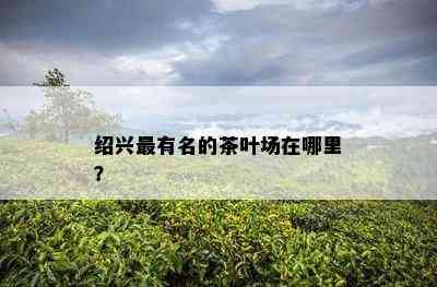 绍兴最有名的茶叶场在哪里？