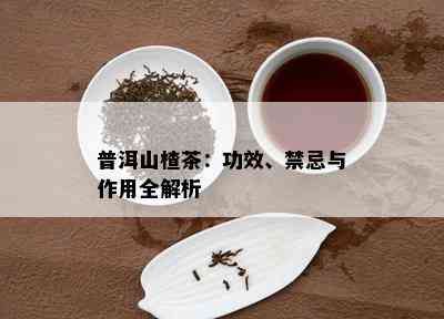 普洱山楂茶：功效、禁忌与作用全解析