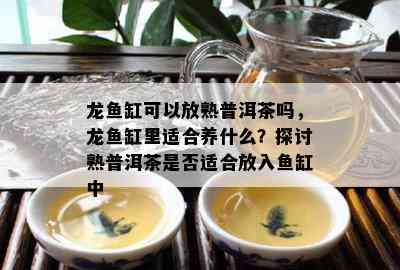 龙缸可以放熟普洱茶吗，龙缸里适合养什么？探讨熟普洱茶是不是适合放入缸中