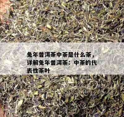 兔年普洱茶中茶是什么茶，详解兔年普洱茶：中茶的代表性茶叶