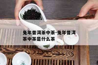 兔年普洱茶中茶-兔年普洱茶中茶是什么茶