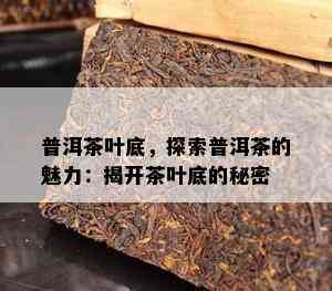 普洱茶叶底，探索普洱茶的魅力：揭开茶叶底的秘密