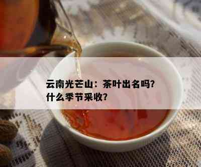 云南光芒山：茶叶出名吗？什么季节采收？