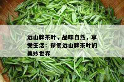 远山牌茶叶，品味自然，享受生活：探索远山牌茶叶的美妙世界